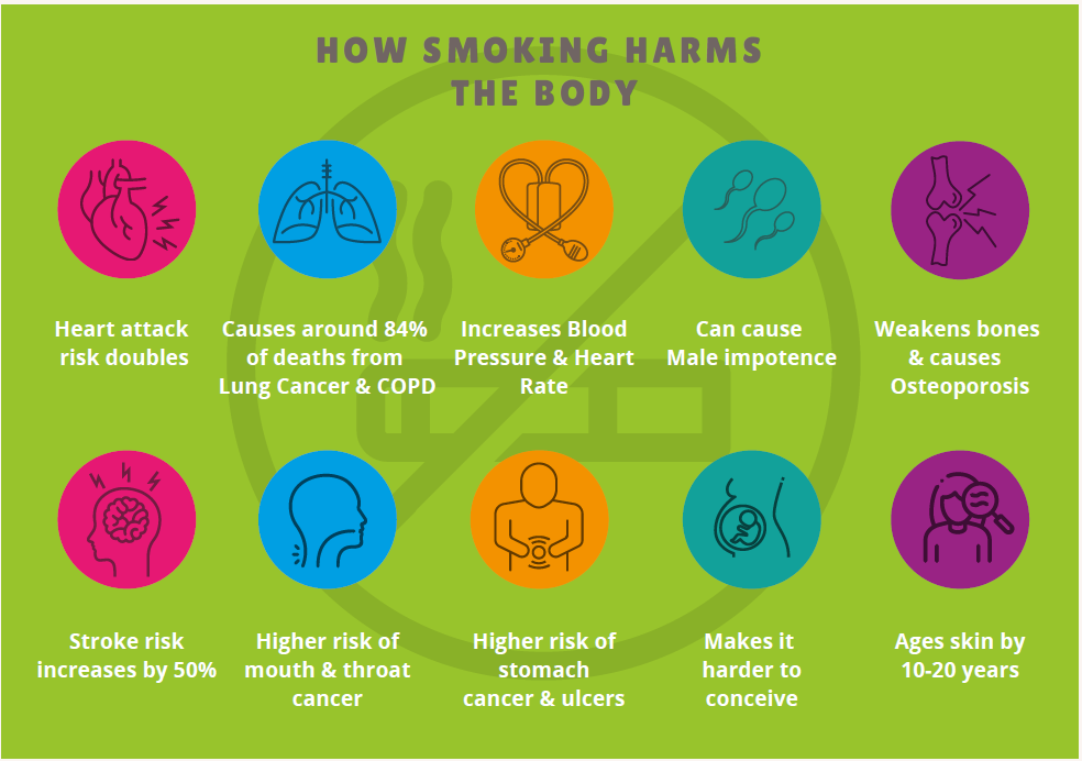 How Smoking Harms the Body